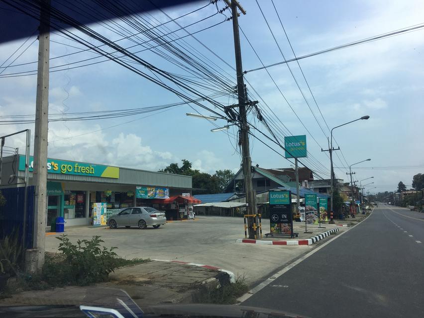 ขายสวนเงาะอยู่หลังเซเว่นตลาดสดทุ่งช้าง 19