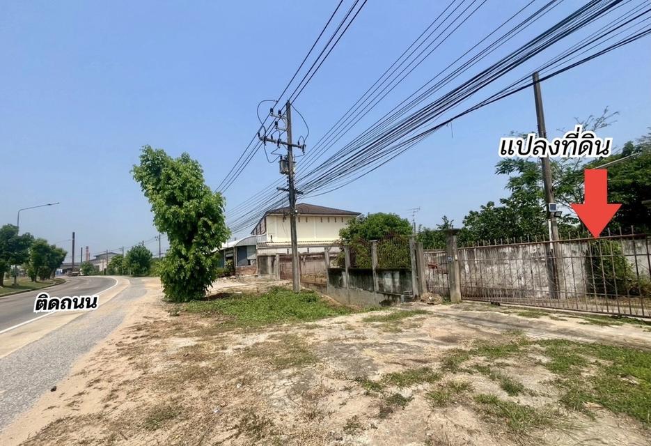 ที่ดินในจังหวัดพิษณุโลก 2