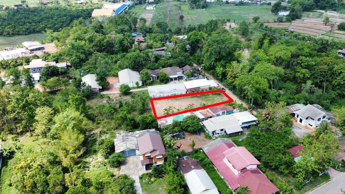 ขายที่ดินเปล่าถมเเล้ว ใกล้ศูนย์ราชการ อ.บ้านผือ จ.อุดรธานี 5