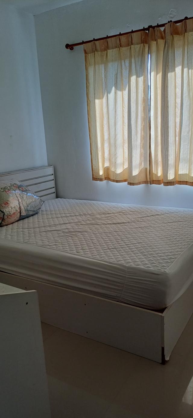 ให้เช่าทาวน์เฮ้าส์ พฤกษาวิลล์ 9