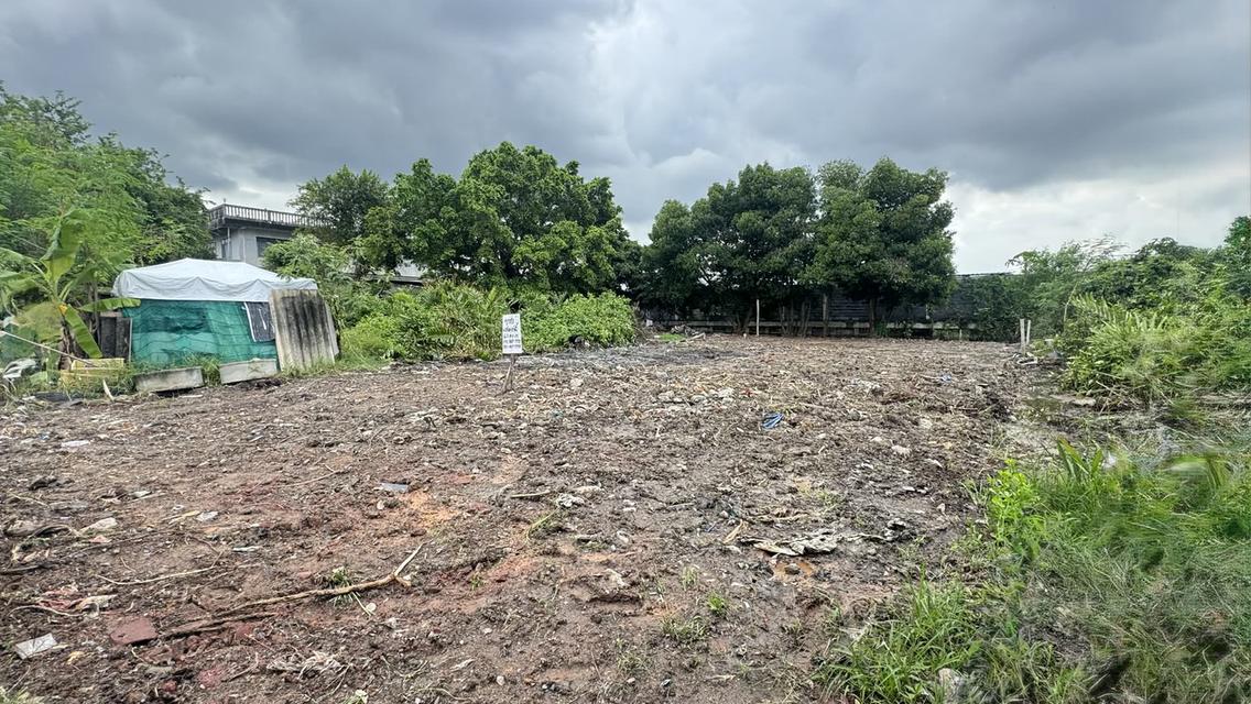 ขายที่ดิน 67.8 ตรว สุขสวัสดิ์ 78 ซอยวัดชังเรือง คู่สร้าง-คู่สม โครงการ3 ซอย 4/3 ราคาถูก ใกล้ตลาดคู่สร้าง 6