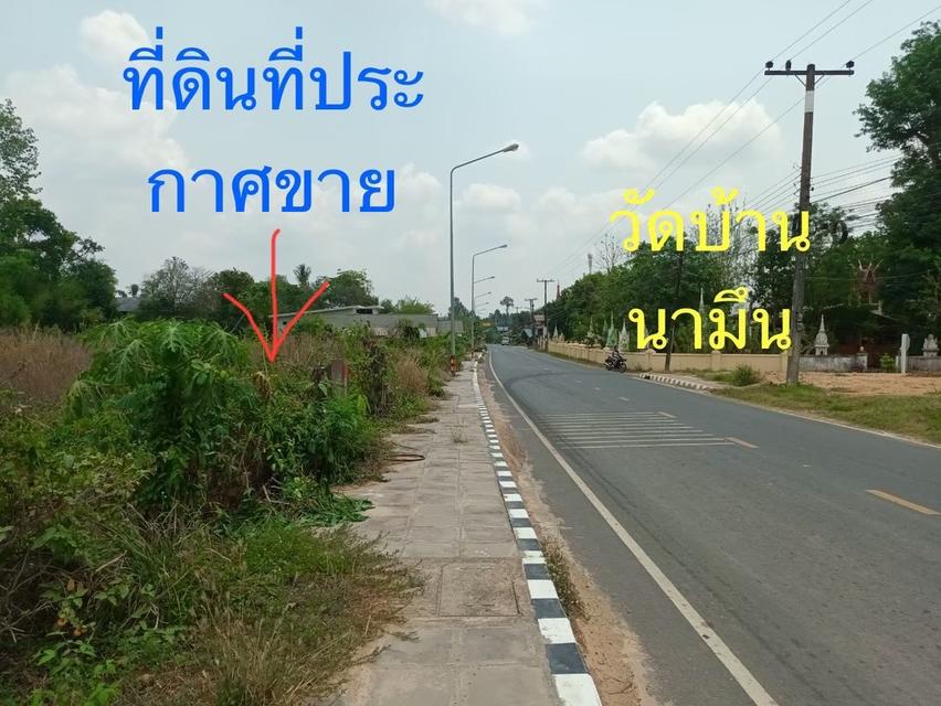 ที่ดินเปล่า ติดถนน 6