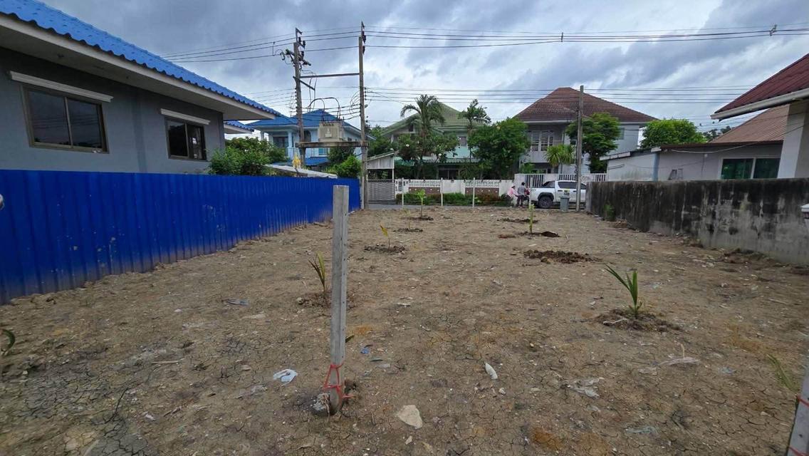 ขายที่ดินใกล้ม.กรุงเทพธนบุรี 61 ตรว ติดถนนสาธารณะ ถมแล้ว+ล้อมรั้วลวดหนาม ซ.ทวีวัฒนา-กาญจนาภิเษก 22 ตลิ่งชัน กทม. 6