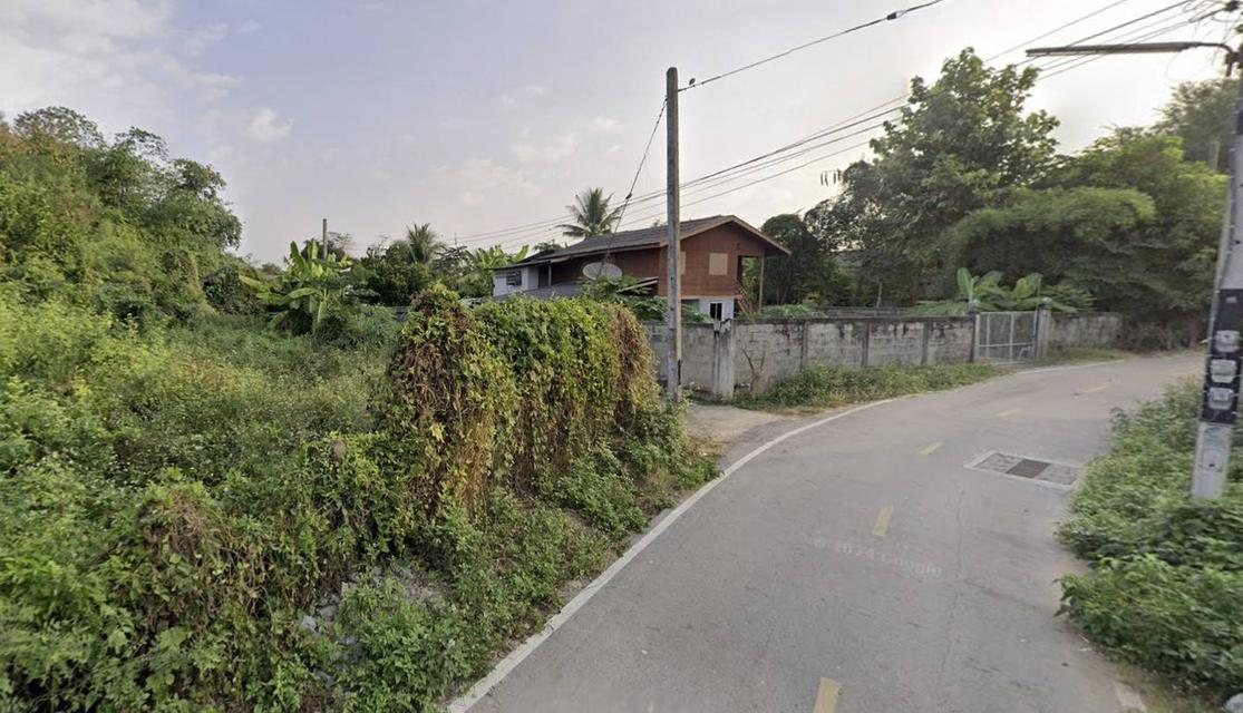 ขายที่ดิน 179 ตร.ว. ย่านชุมชนบ้านผึ้ง อ.เกาะคา ทำเลศักยภาพสูง เหมาะพัฒนาเป็นบ้านเช่าหรือหอพัก 4