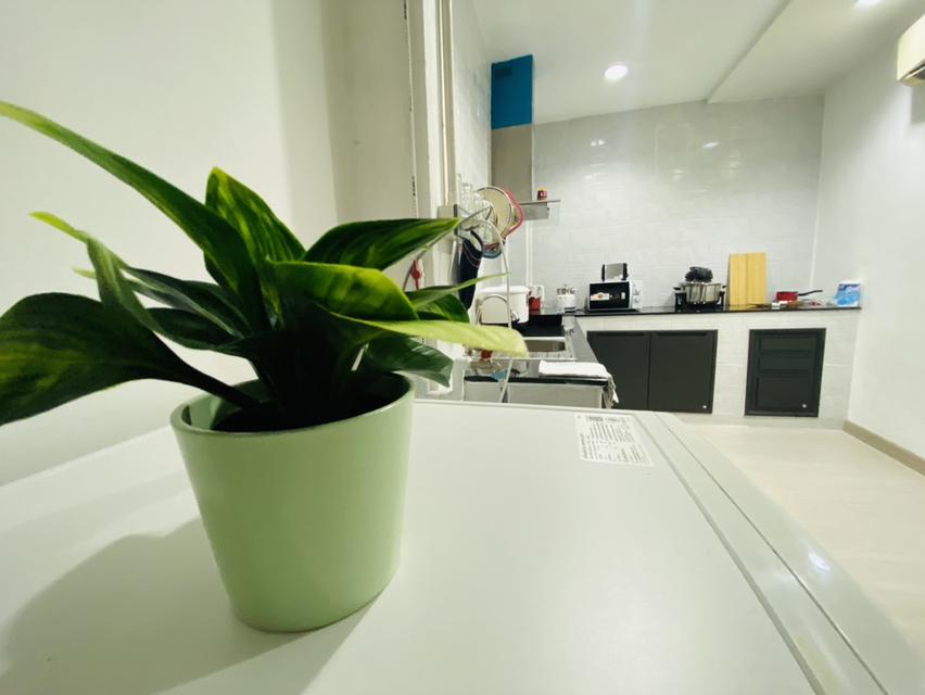 House for Rent 'Cozy Nest' 11