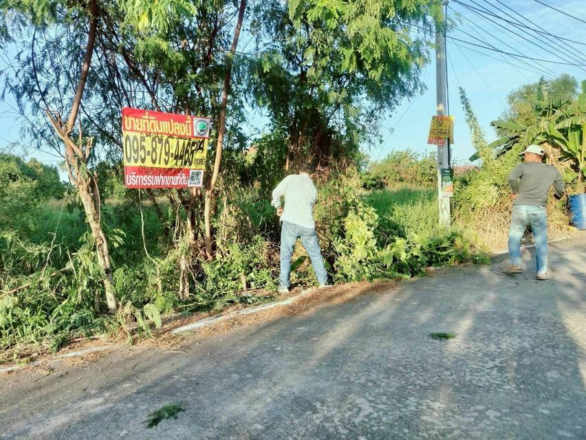 ขายถูกที่ดินใกล้วัดธรรมกาย 204  ตรว ติดถนนคอนกรีตสาธารณะ ซ.คลองสาม 10/15 อ.คลองหลวง จ.ปทุมธานี 3