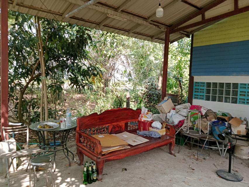 ขายบ้านสวน2ไร่ คลองหก คลองหลวง ปทุมธานี เส้นเดียวกับ ม.ราชมงคลคลองหก 12
