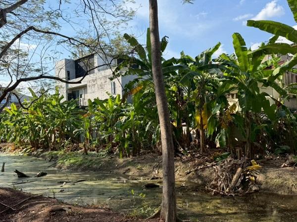 ขายที่ดินพหลโยธิน 35 แยก 19 ซอยสังข์ทอง 9 (พื้นที่สีส้ม) เนื้อที่ 6‑0‑69 ไร่ ใกล้เมเจอร์รัชโยธิน โทร 090-6360022 5