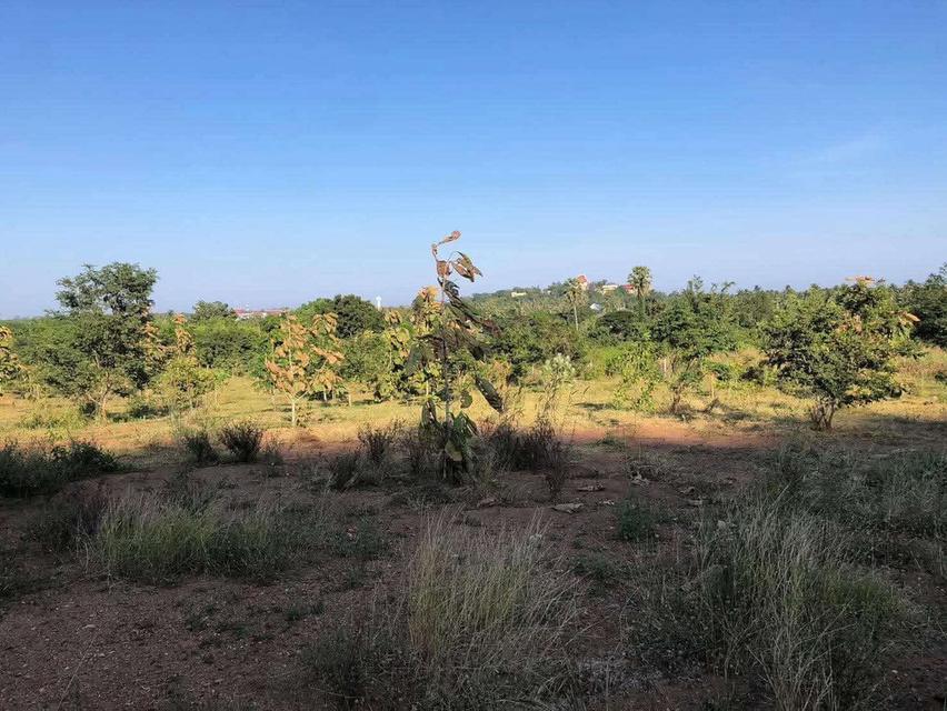 ที่ดินประจวบคีรีขันธ์ (วิวภูเขา) 3