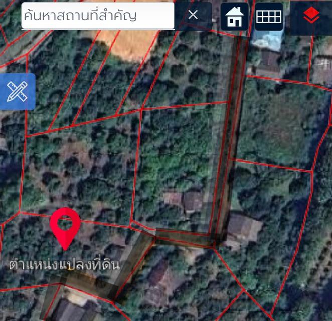สวนลำไย 5 ไร่ อำเภอจอมทองจังหวัดเชียงใหม่ 2
