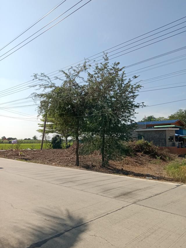 ที่ดิน 100 ตรว. บ่อเงินซอย 8 ต.บ่อเงิน อ.ลาดหลุมแก้ว จ.ปทุมธานี 2