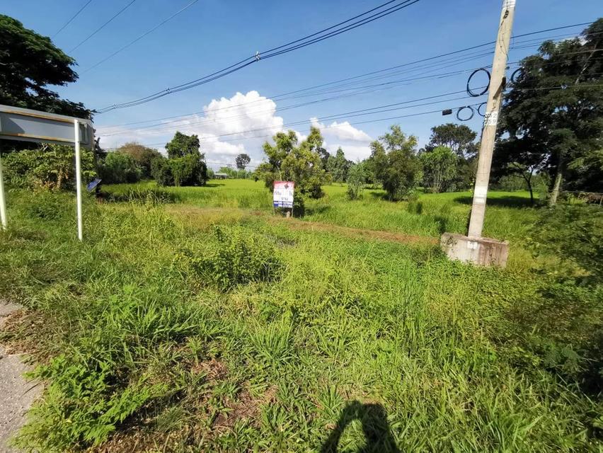 ที่ดิน บายพาสแก่งเลิงจาน อำเภอเมือง มหาสารคาม 2