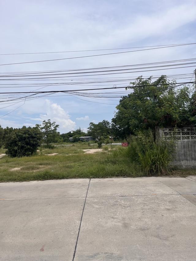 ขายที่ดิน ชลบุรี 2