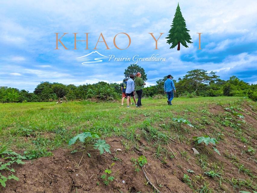 บรรยากาศเขาใหญ่ ปากช่อง #ติดลำธาร  เพียง 7,500/ตรว. ผ่อน12งวด #ฟรีดอกเบี้ย 8