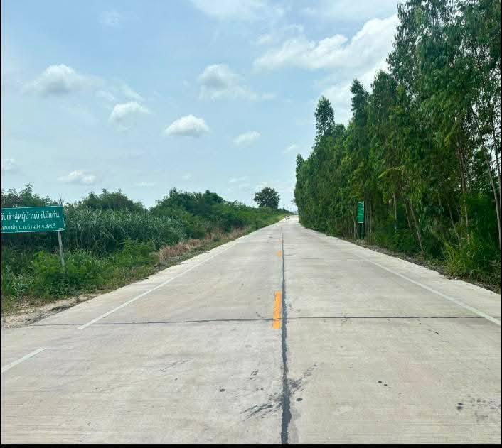 ขายที่ดินหนองอิรุณ 15 ไร่ ใกล้ถนนเส้น331-1.3กม. ใกล้นิคมเอเชียคลีน-7กม.อ.บ้านบึง ชลบุรี 7