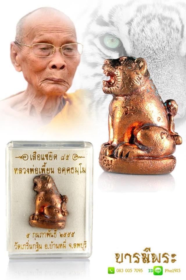 เสือแซยิด 85 หลวงพ่อเพี้ยน เนื้อสัมฤทธิ์เดช ปี 2555 วัดเกริ่นกฐิน ลพบุรี 9