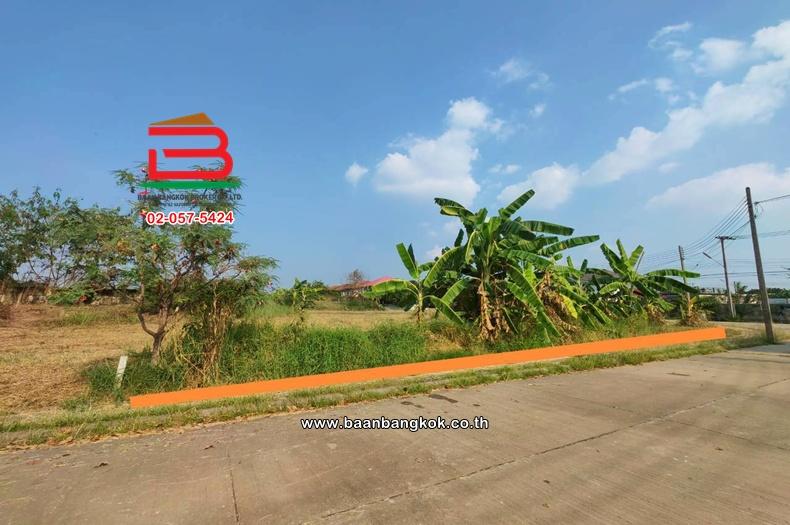 ที่ดินเปล่า เนื้อที่ 112 ตร.ว. หมู่บ้านเดอะลากูล 1-2 ถนนปทุมธานี-สามโคก-เสนา ตำบลท้ายเกาะ อำเภอสามโคก ปทุมธานี 2