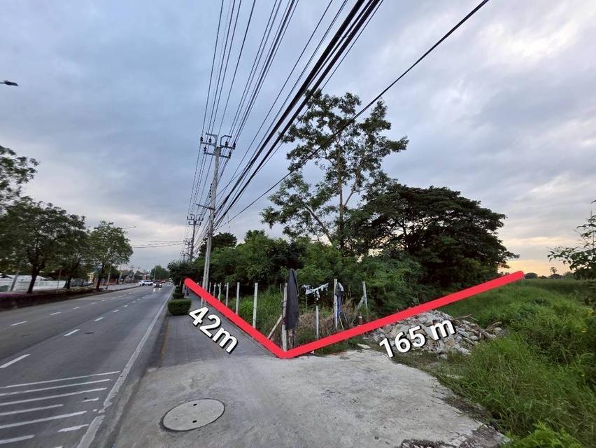 ขายที่ดินเปล่า ติดถนน 6 เลน นิมิตใหม่-มีนบุรี ราคาถูก 5