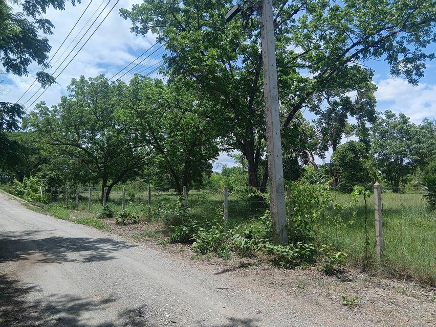 ขายที่ดิน 2-2-55 ไร่ เขาช่องพราน ตำบลเตาปูน อำเภอโพธาราม จังหวัดราชบุรี 9