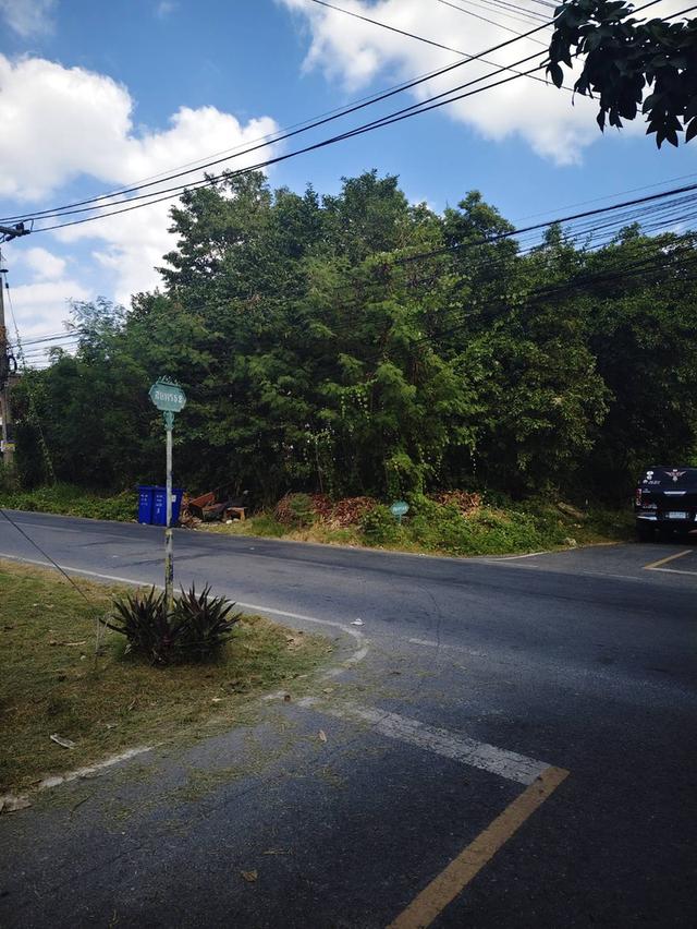 ขานด่วนค่ะ !!! ที่ดิน หมู่บ้านสหพร ใกล้ ม.มหิดล ศาลายา 4