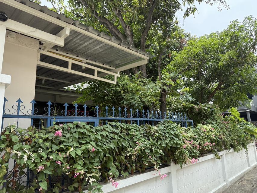 ขายบ้านเดี่ยว ย่านสะพานควาย หมู่บ้านจตุรมิตร ซอยประดิพัทธ์ 15 4