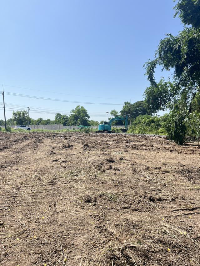 ที่ดินเปล่า ติดถนน ตำบลพืชอุดม อำเภอลำลูกกา จังหวัดปทุมธานี 8