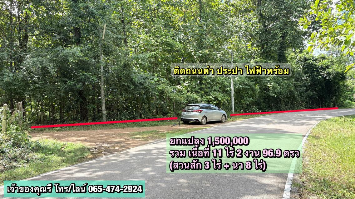 ที่ดิน 11 ไร่ ติดถนนดำ น้ำไฟพร้อม 1