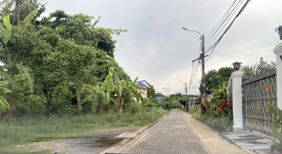 ขายวาละ 45,000 ที่ดิน 188 ตารางวา ซอยเพชรเกษม 68 แยก 28 ใกล้รถไฟฟ้าเดอะมอลล์บางแค 098 7755 808 4