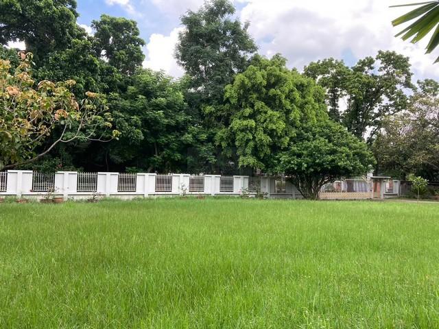 ขายบ้านเดี่ยว 587 ตรว. ถนนเมน หมู่บ้านนวธานี ถนนเสรีไทย 59 เกษตร-นวมินทร์ ใจกลางธรรมชาติ ร่มรื่น อยู่สบาย 2