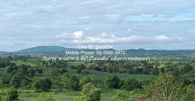 ขายที่ดินบนเนินเขา 10-1-5 ไร่ (ใบอ่อน: ส.ป.ก./สร.5 ก.) วังน้ำเขียว นครราชสีมา ราคา 4,500,000 บาท (โอนฟรี) 4