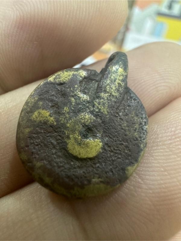 พญาเต่าเรือนหลวงพ่อเงินวัดบางคลาน 2