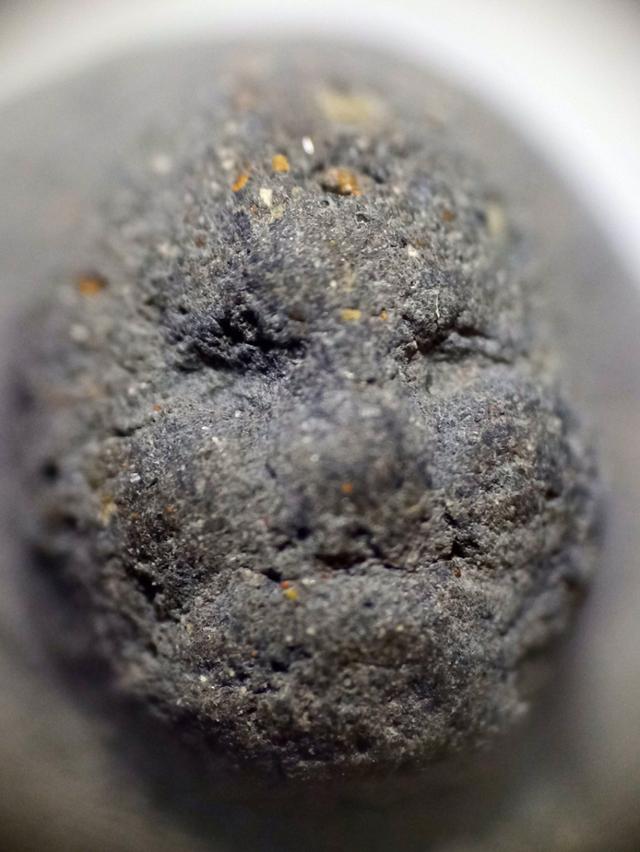 หลวงปู่ทวดเนื้อว่าน 97