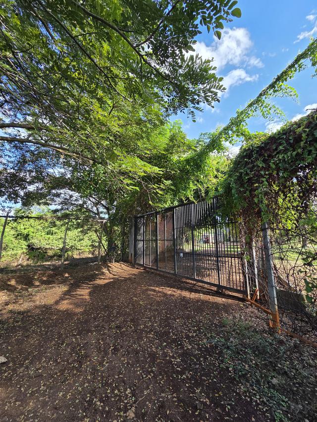 ขายที่ดิน 14 ไร่ แบ่งแปลงแล้ว สามพร้าว 6