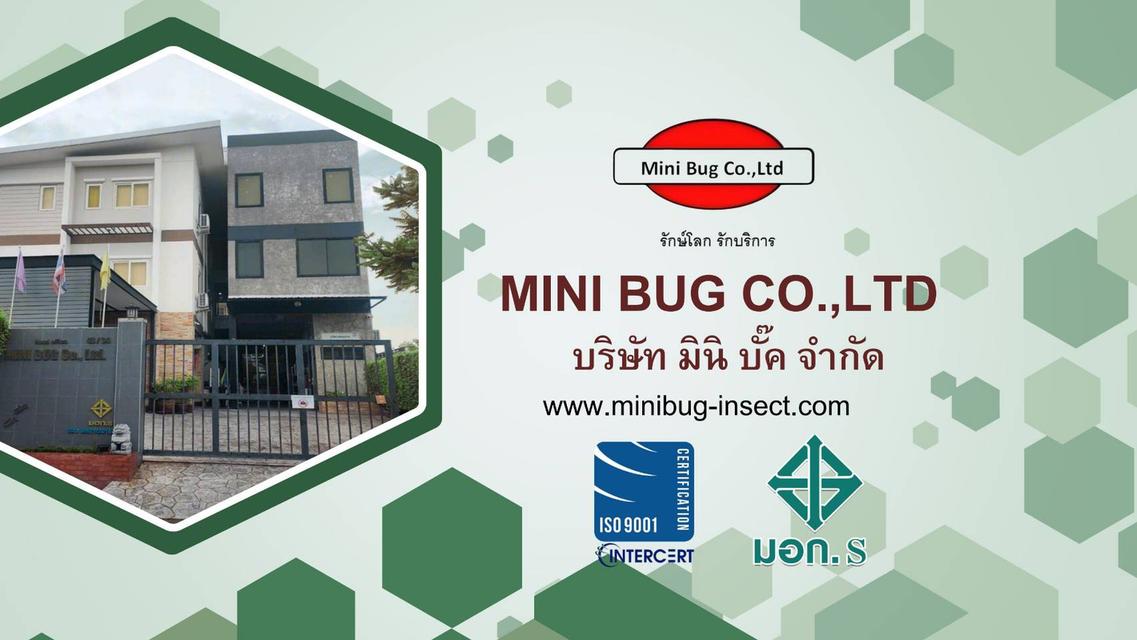 บริการจำกัดปลวก มด หนู แมลงสาบ ยุง ตัวเรือด