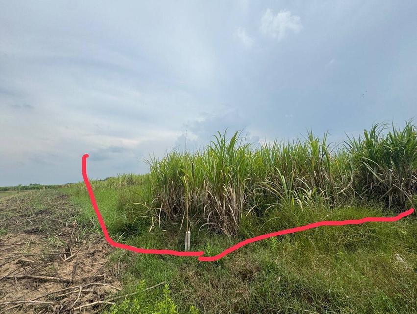 ที่ดิน ใกล้ ม.เกเกษตรกำแพงแสน 4