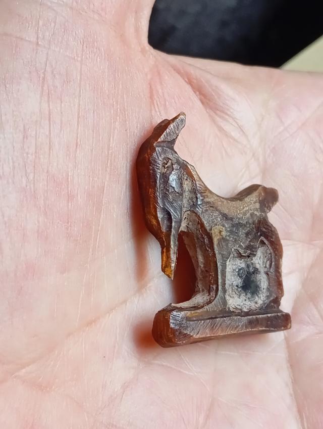 แพะ หลวงพ่ออ่ำ วัดหนองกระบอก รูปที่ 5