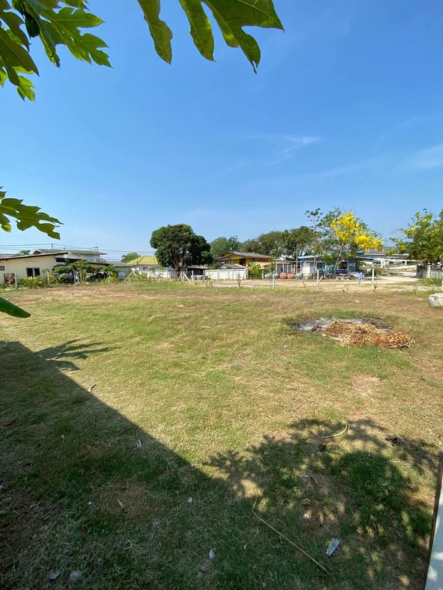 ขายที่ดินหัวหินซอย6 112 ตร.ว. ราคา2,800,000 2