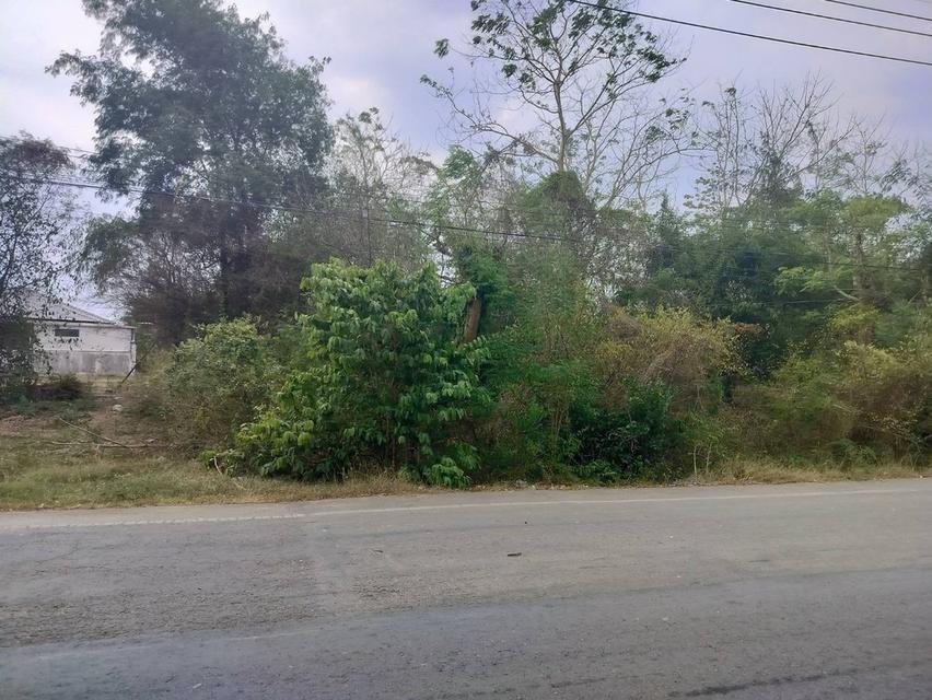 ขายที่ดินเปล่า(3ไร่ 2งาน) ใกล้บ้านจัดสรร ติดถนนสุวรรณศร33 ราคา5000000บาท 8