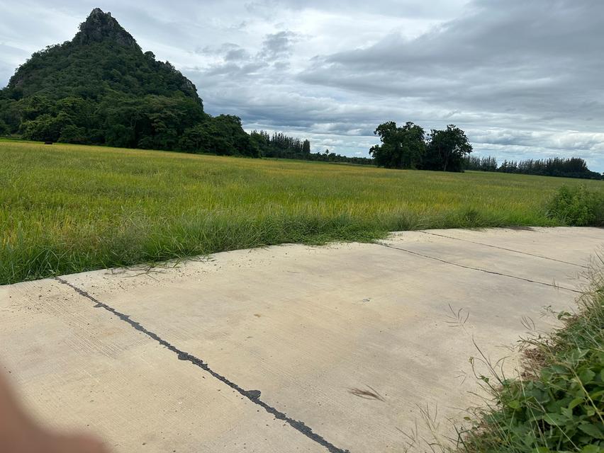 ที่ดิน ท่ายาง จ.เพชรบุรี 12