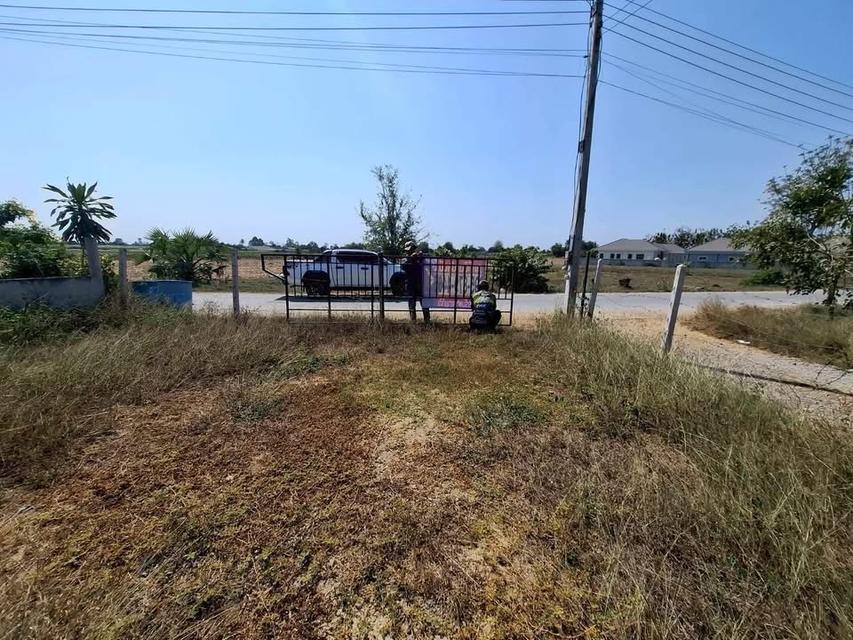 ขายด่วน  ทีดิน 50 ตารางวา "ติดถนนคอนกรีตสาธารณะ "ต.รางพิกุล อ.กำแพงแสน จ.นครปฐม 5