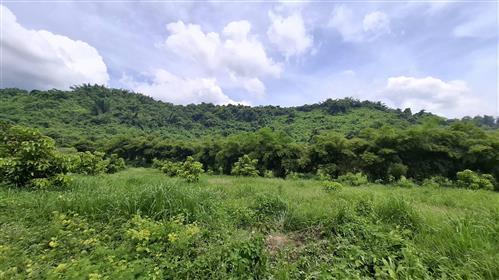 ที่ดิน แปลงเล็ก  กลาง  ใหญ่ สำหรับผู้สนใจหาซื้อไว้ 2