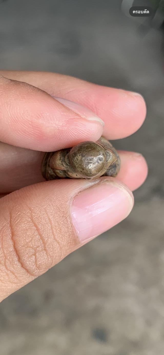 รูปหล่อหลวงพ่อเงิน 5