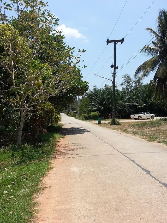 ขายที่ดินเปล่า ต.วังไผ่ อ.เมืองชุมพร จ.ชุมพร 2