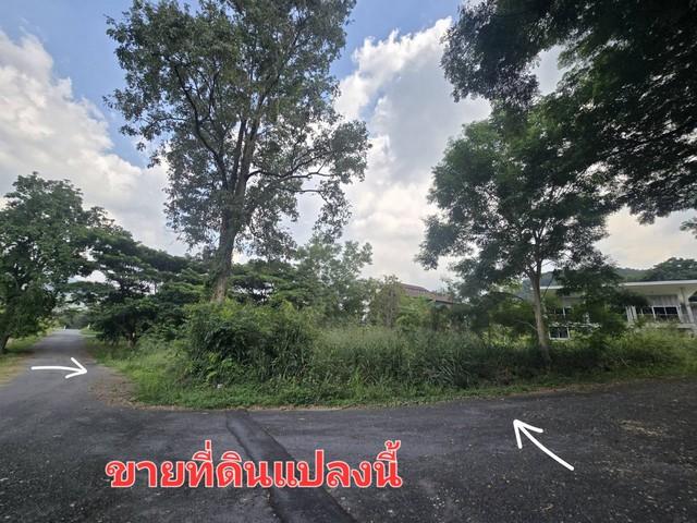 ขายที่ดิน 289.9 ตร.ว ม.ภูภัทรา ปากช่อง เขาใหญ่ แปลงมุม ทำเลดี ติดถนน 2 ด้าน 1