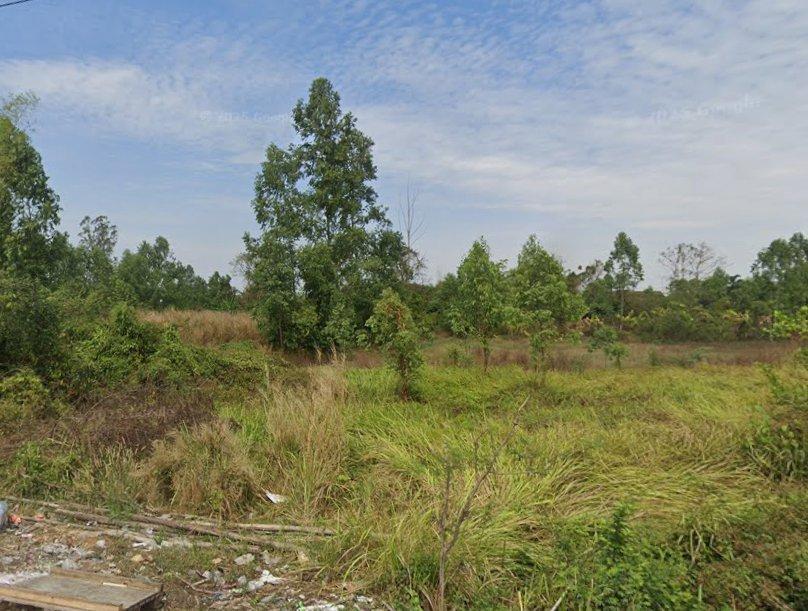 ขายที่ดินหัวหว้า 341 ตรว. ติดถนนคอนกรีต ใกล้ถนนเส้น3078-2.6กม. อ.ศรีมหาโพธิ ปราจีนบุรี 2