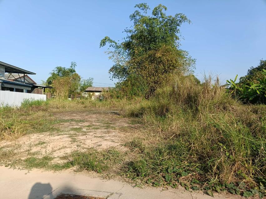 ที่ดินในเขตเทศบาลวัดโบสถ์ อำเภอวัดโบสถ์ จังหวัดพิษณุโลก 13