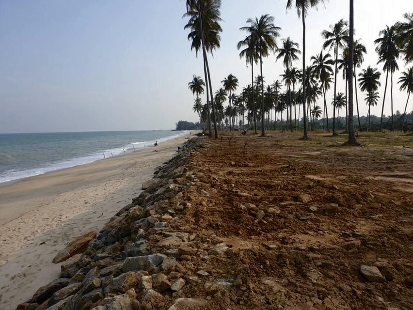 ที่ดินติดทะเลหาดเสาเภา อ.สิชล จ.นครศรีธรรมราช - 5 ไร่ 5