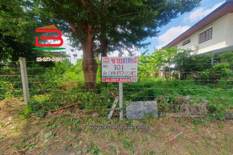 ที่ดินเปล่า หมู่บ้านสินธร รังสิต (ซอย D1,D2) เนื้อที่ 101 ตรว. ใกล้ดูโฮม บางพูน ตำบลบางพูน อำเภอเมืองปทุมธานี จังหวัดปทุมธานี 1