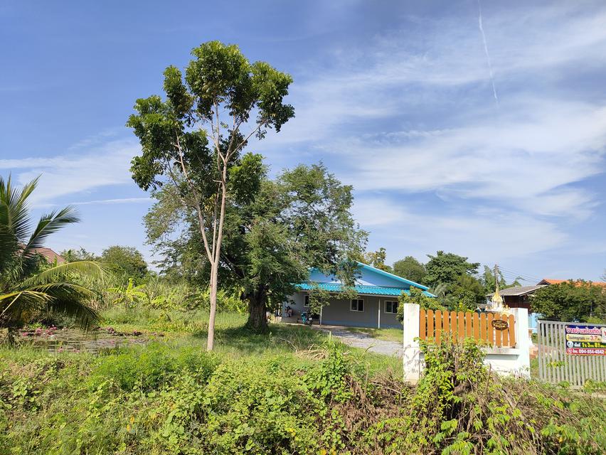บ้านพร้อมที่ดิน รวม 1ไร่3งาน81ตรว. 4