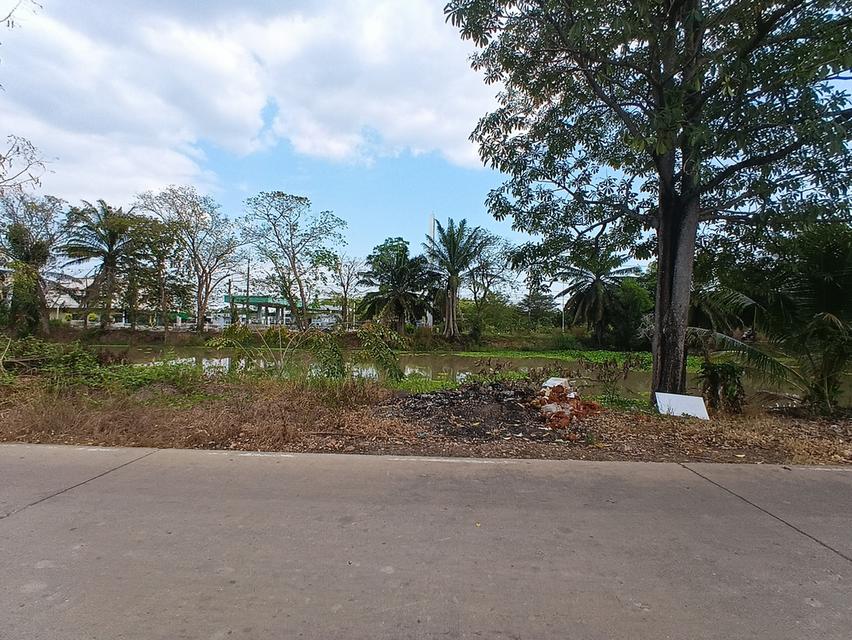 ที่ดิน 10 ไร่ 2 งาน 90 ตารางวา หนองเสือ ปทุมธานี ติดถนนเลียบคลอง10ฝั่งตะวันตก 3